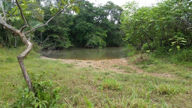 Vendo Fazenda de 1702 hectares no Leste do Maranhão - Foto 13