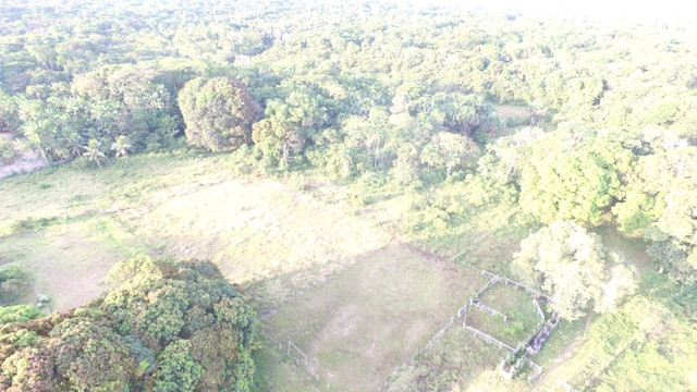 R$350 mil reais 17 hectares em Castanhal -Pa com casa boa de alvenaria - Foto 2