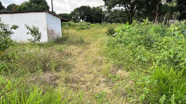 VENDO ÁREA NAS MARGENS DA BR 104  - Foto 5