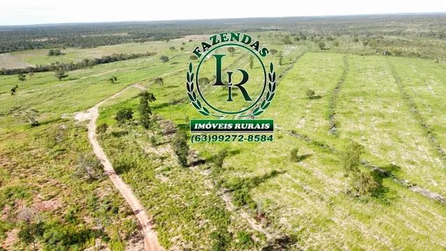 Fazenda Tocantins 127 Alqueires Oportunidade  - Foto 2