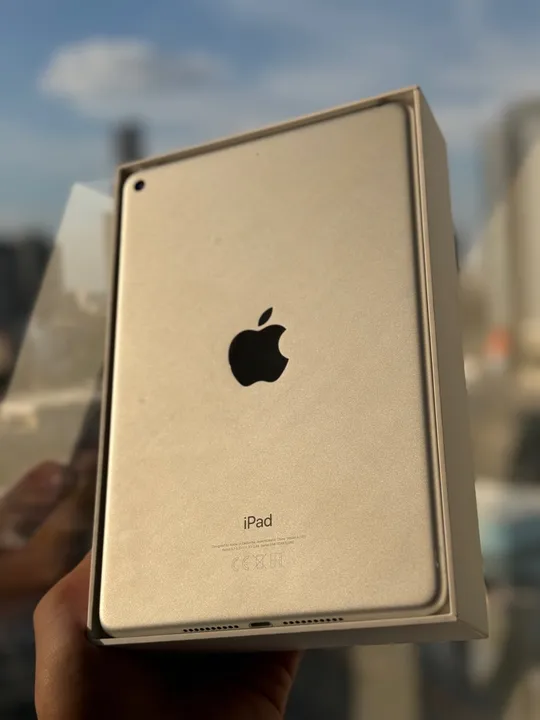 iPad mini 5th ( 256GB ) Seminovo COM GARANTIA