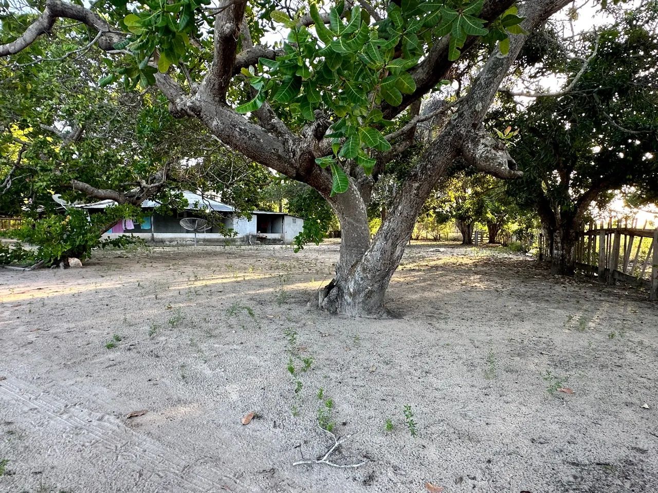 Sítio na serra grande 1 cantá  - Foto 5