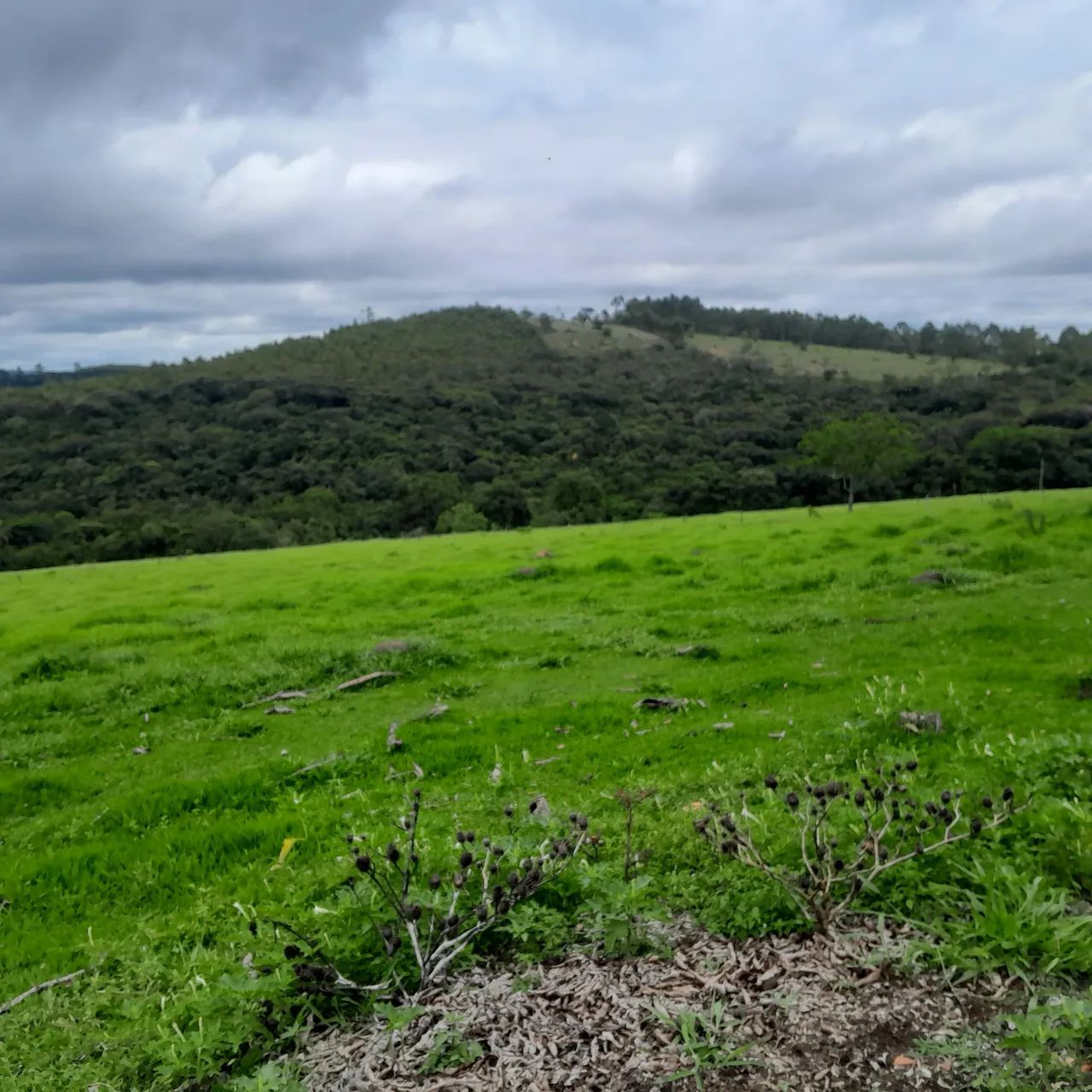 Terreno rural em itatiaucu  - Foto 2