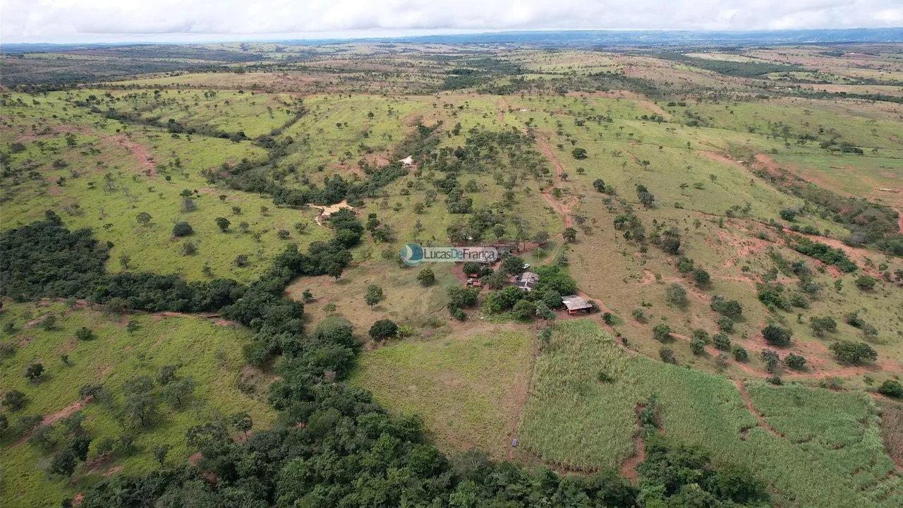 Vendo excelente fazenda!
