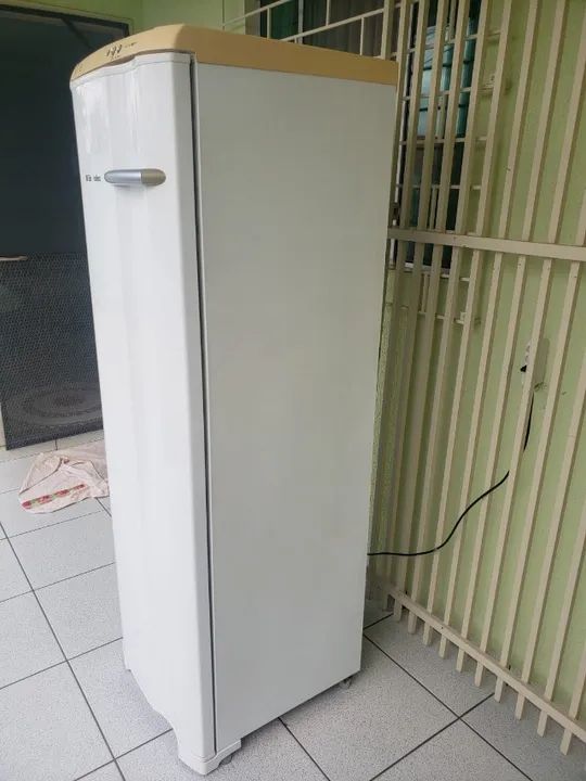 *Barato Freezer Vertical Electrolux FE 26 110 Volts Usado Entrego e Aceito Cartão  - Foto 4