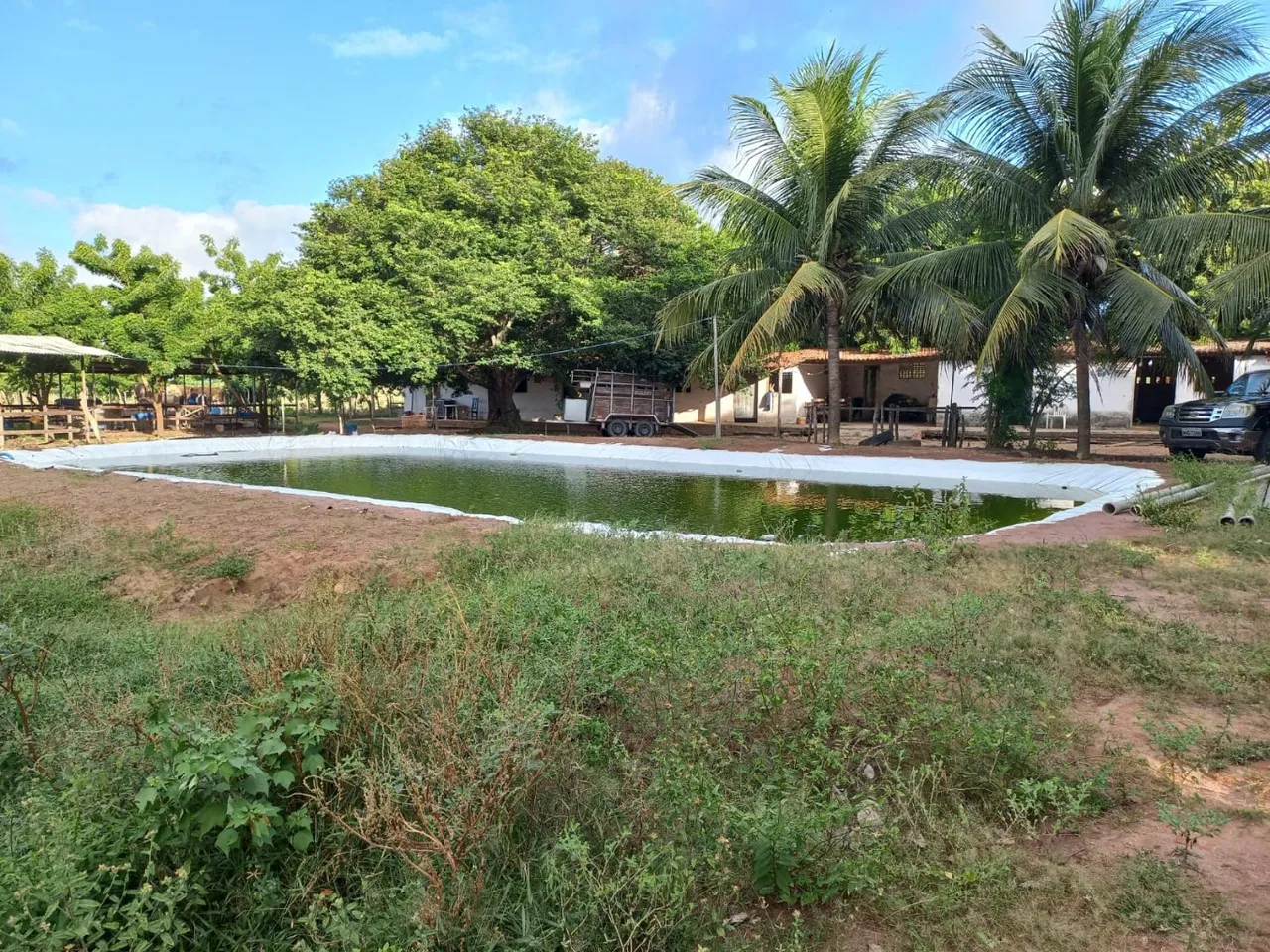 Fazenda/Sítio/Chácara para venda com 30 hectares com boa estrutura rica em água na região