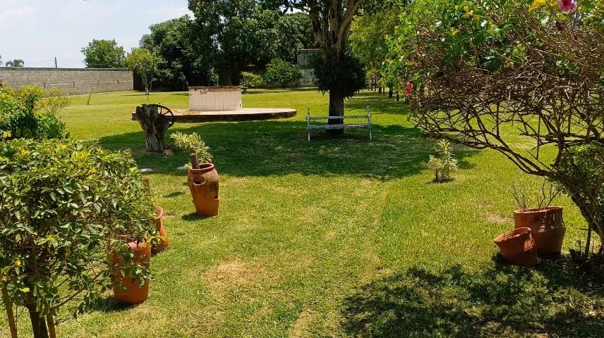 Terreno (chacara) rural 3000m2 Limeira/SP - Foto 3