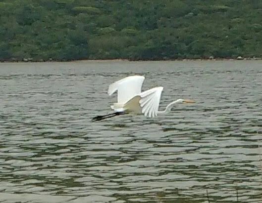 Casas temporada Armação Fpolis - Foto 14
