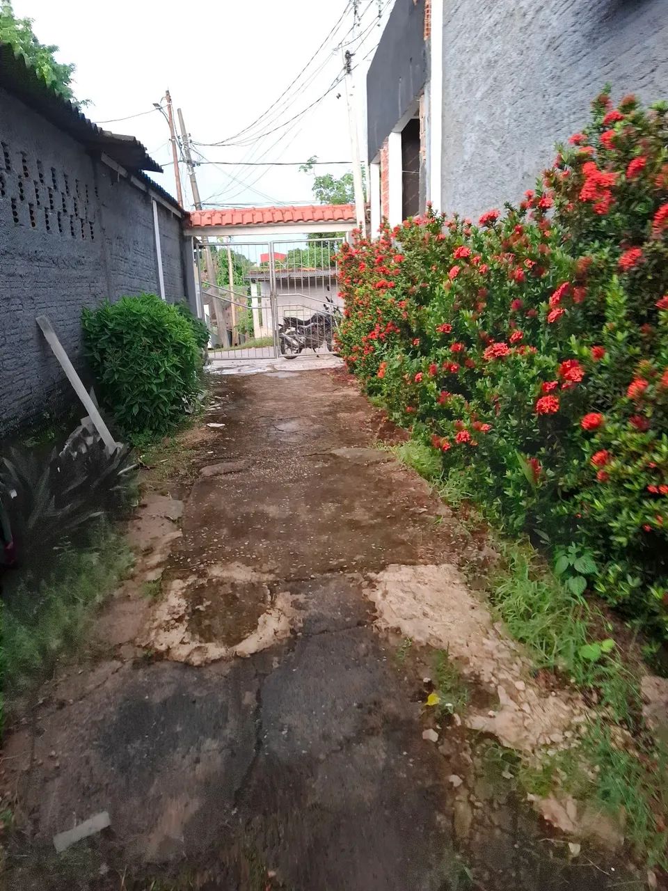 foto - Porto Velho - Mato Grosso