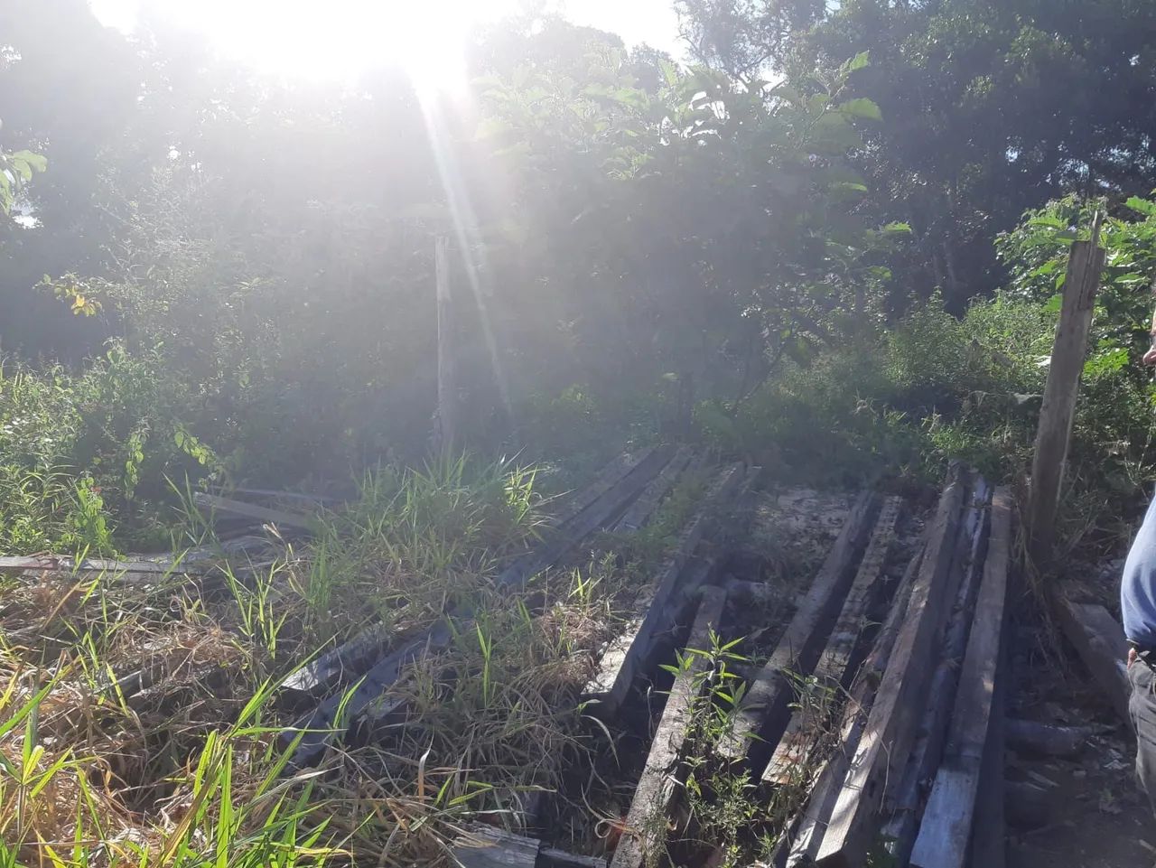 Vendo uma fazenda em Una ( oportunidade) - Foto 5
