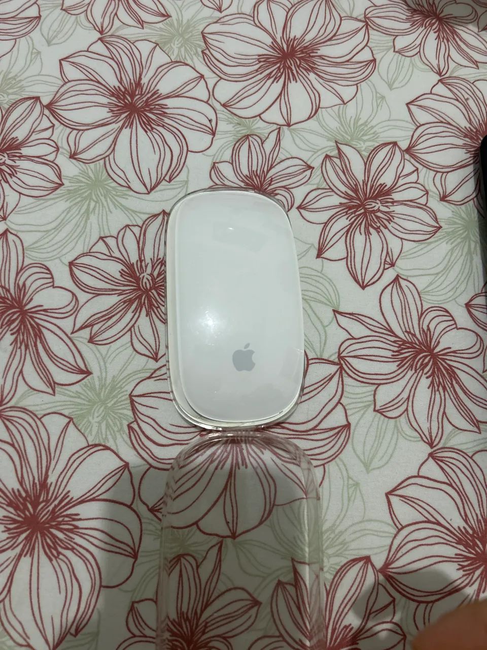 Mouse Apple 1