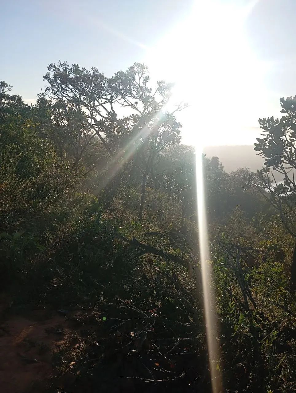 Terreno na várzea das flores  - Foto 4