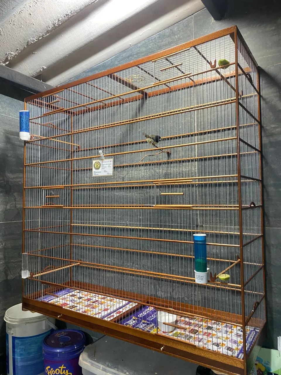 Gaiolao 1x1 - Foto 2