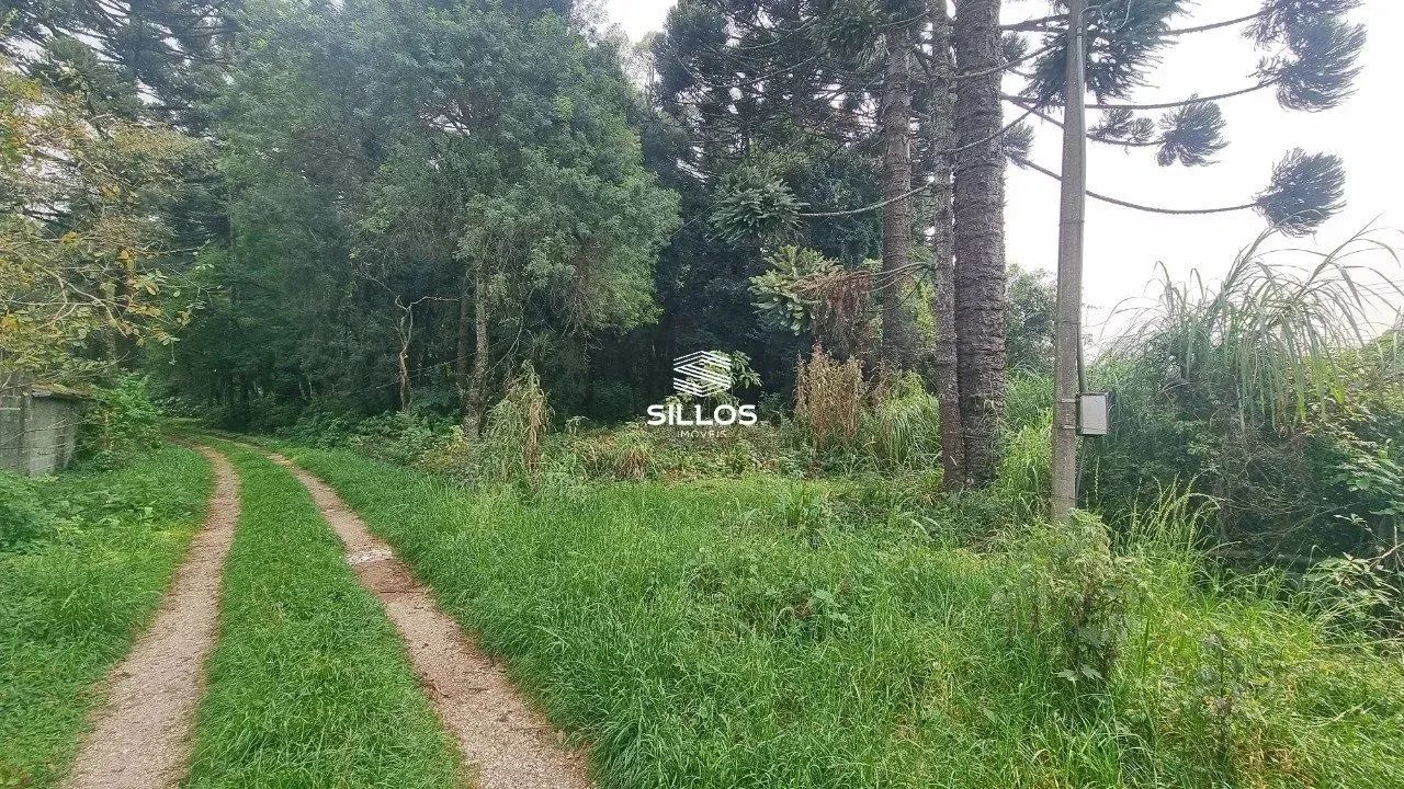 Terreno à venda com 6.309,40m² no São Gabriel - Colombo/PR - Foto 9