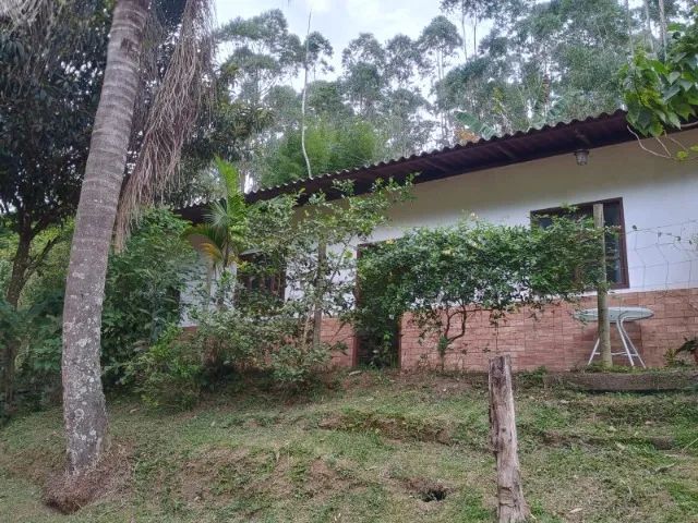 Foto - Nova Friburgo - Braunes