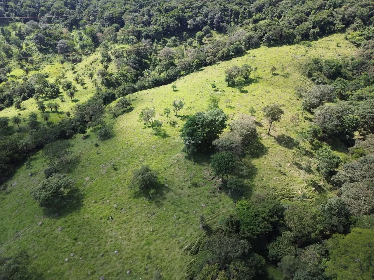 Terreno à Venda | Entre Itatiaiuçu-MG e Itaúna-MG - Foto 4