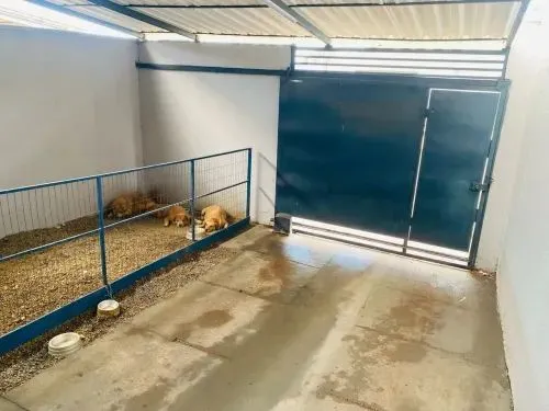 Casa na marambaia pra vende