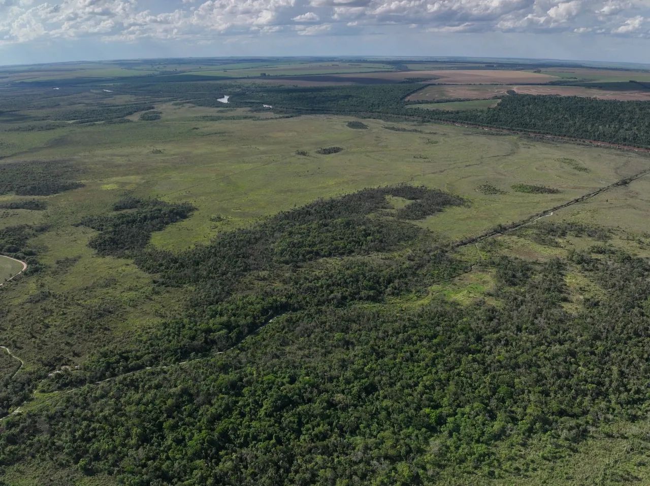 Fazenda a venda investidor  - Foto 5