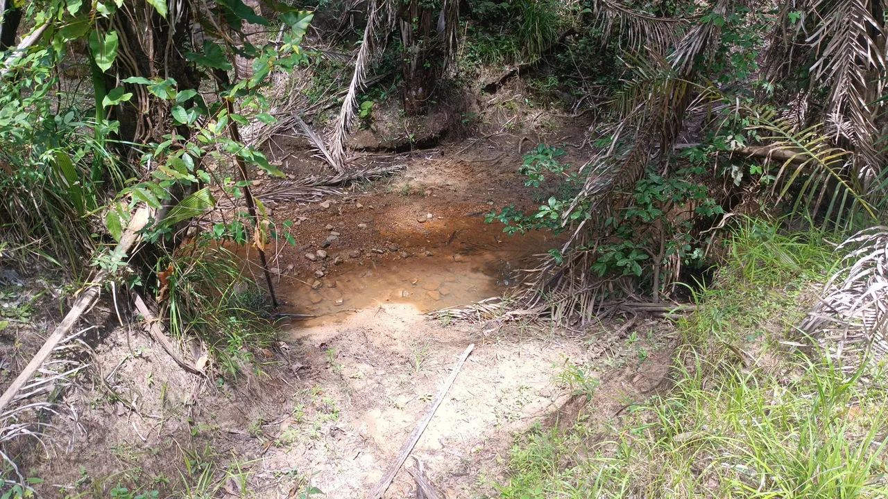 Vendo um terreno para sítio com olho d'água  - Foto 2