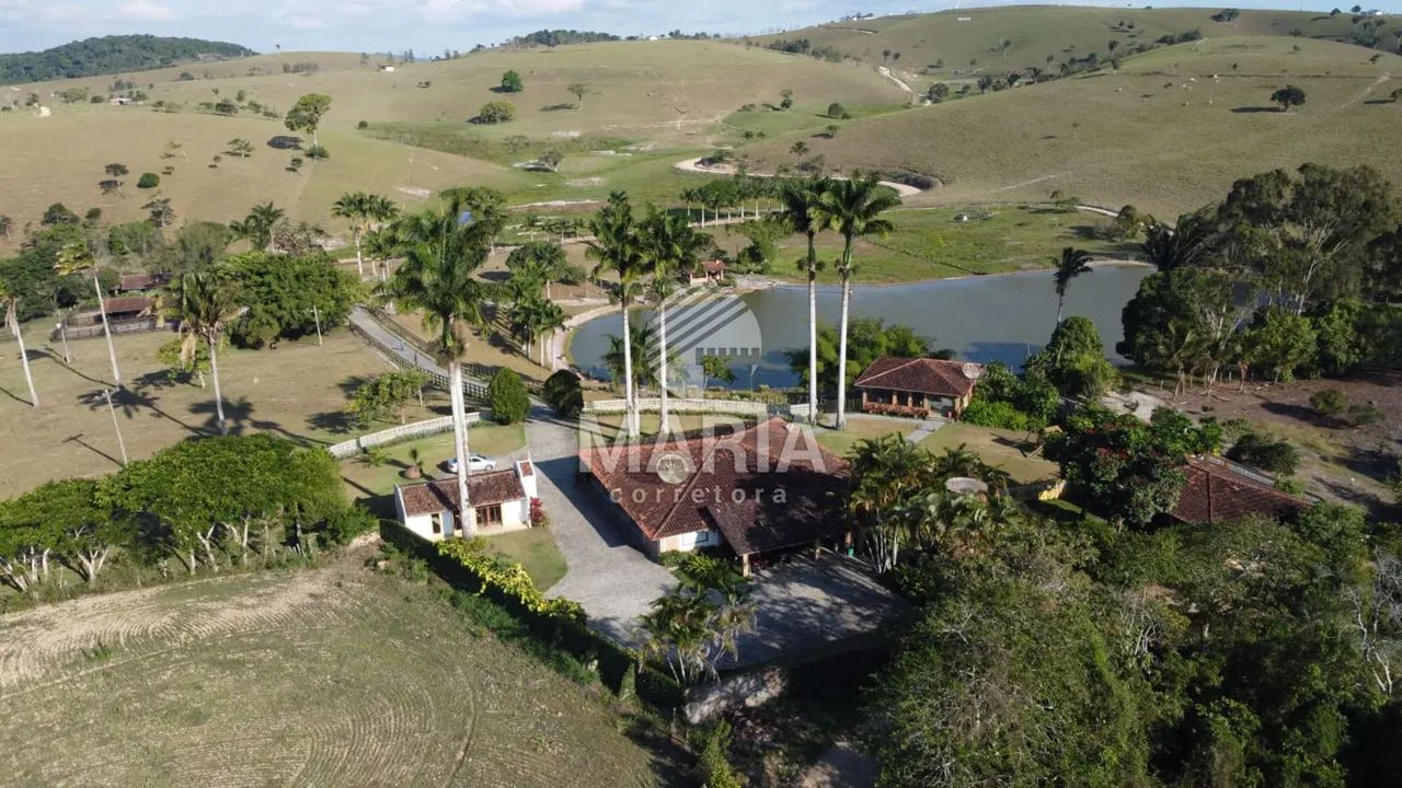 Fazenda à venda com 300 hectares com excelente acesso e uma extraordinária vista!! - Foto 2