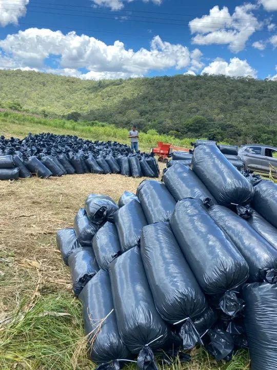 Silo ensacado a pronta entrega  - Foto 3