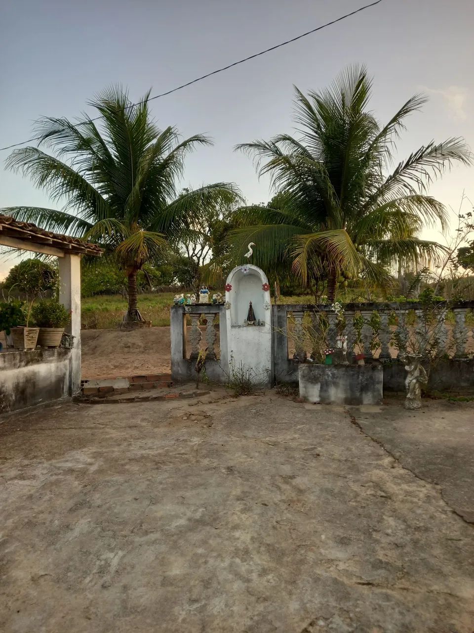 Vendo Propriedade  - Foto 4