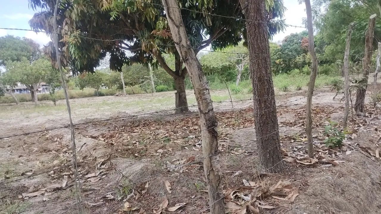 Sítio em Lagoa Seca em excelente localização  - Foto 13