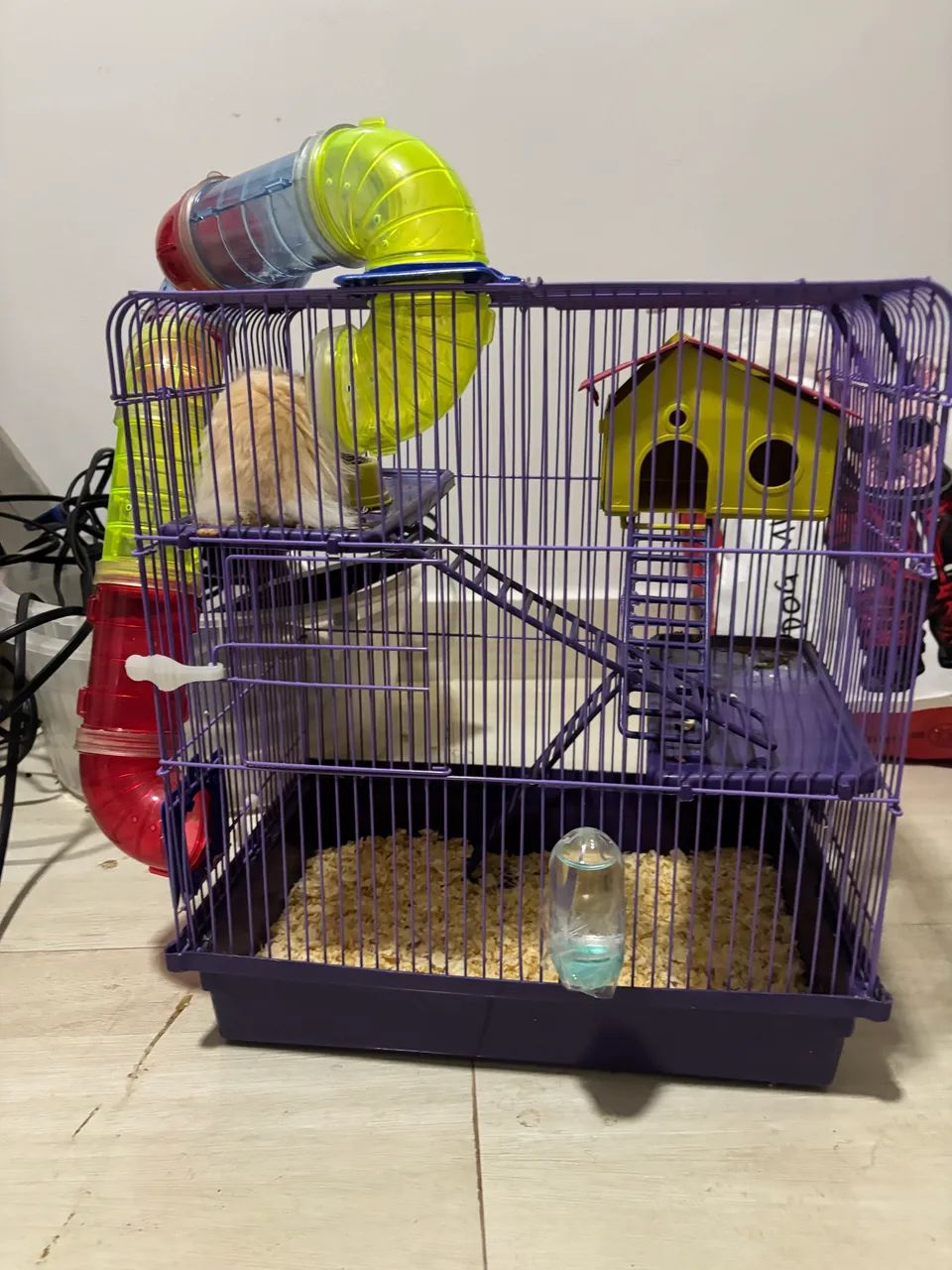 Gaiola e ? hamsters