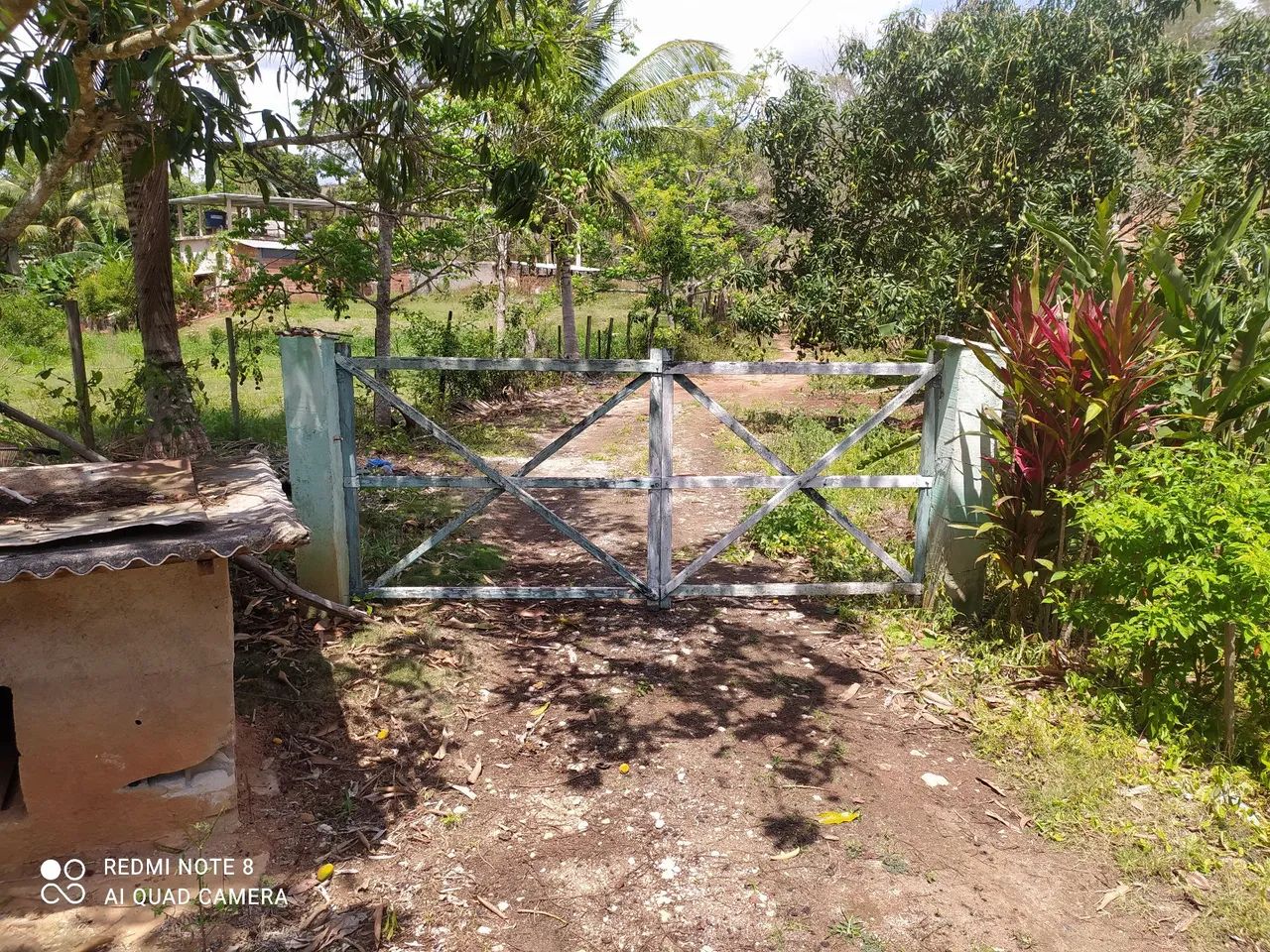 Foto - Cachoeiro de Itapemirim - Itaóca