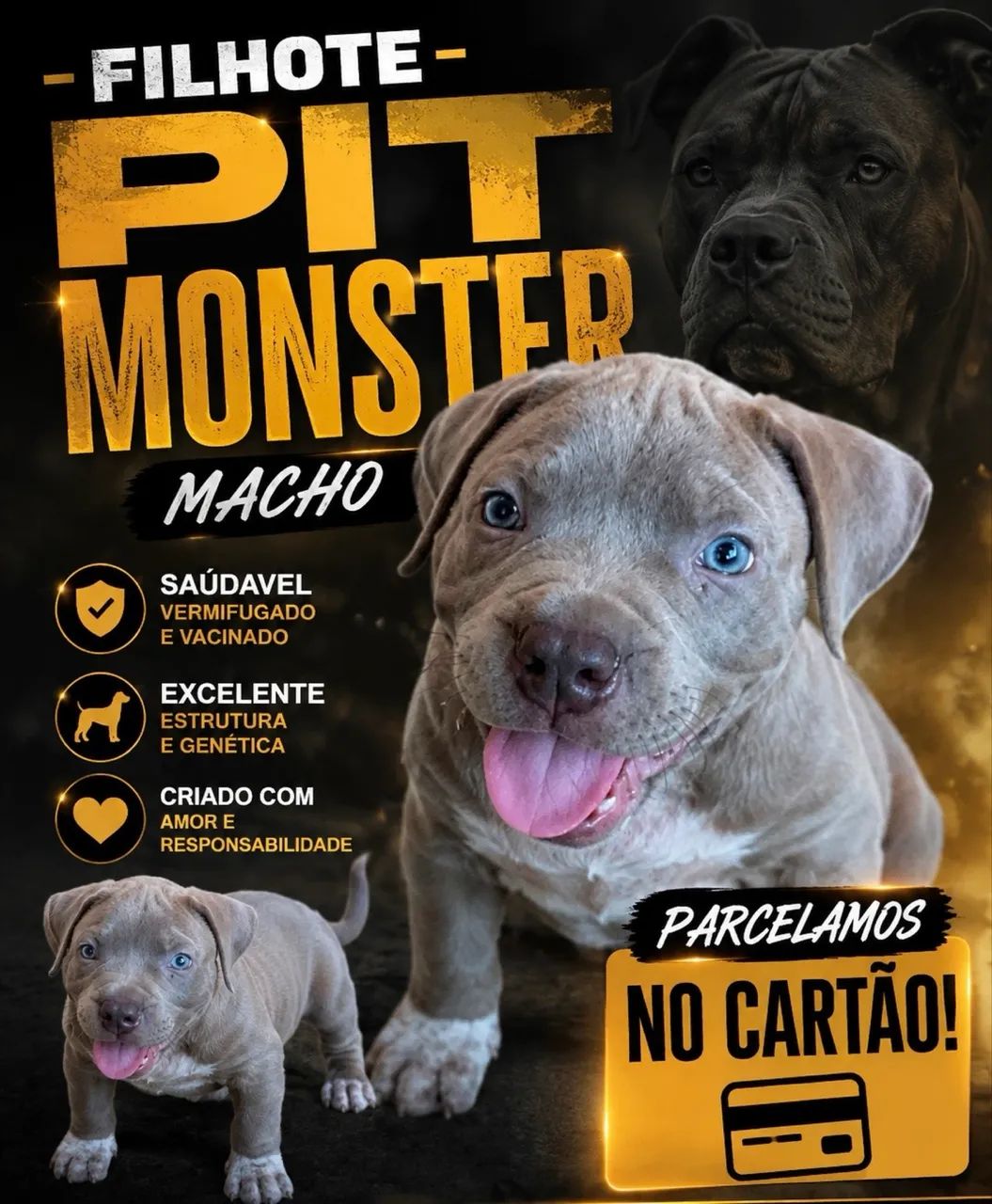 Pit monster  - Foto 3