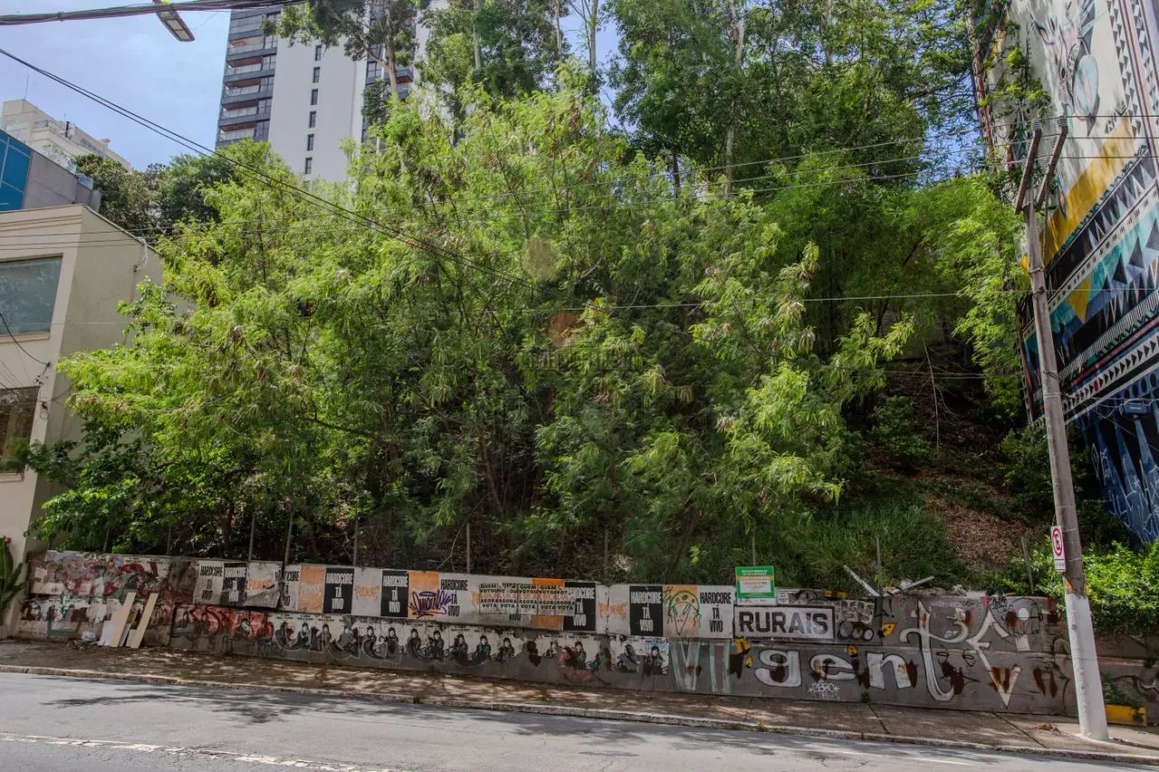 Terreno - Pinheiros - 477m² - Foto 4