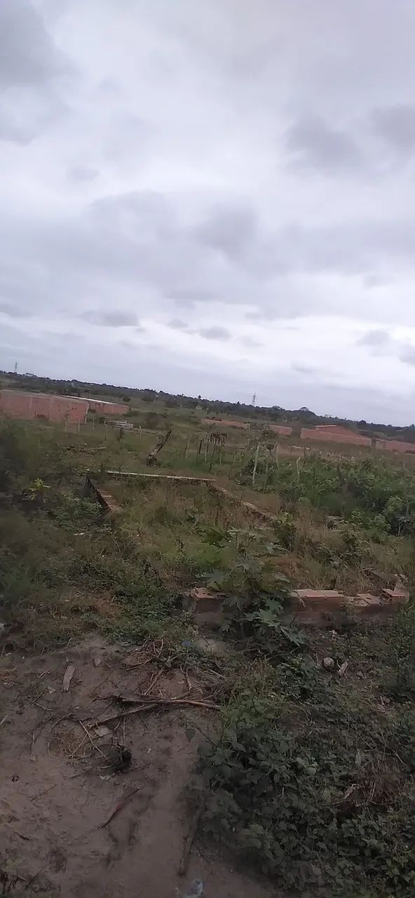 Terreno