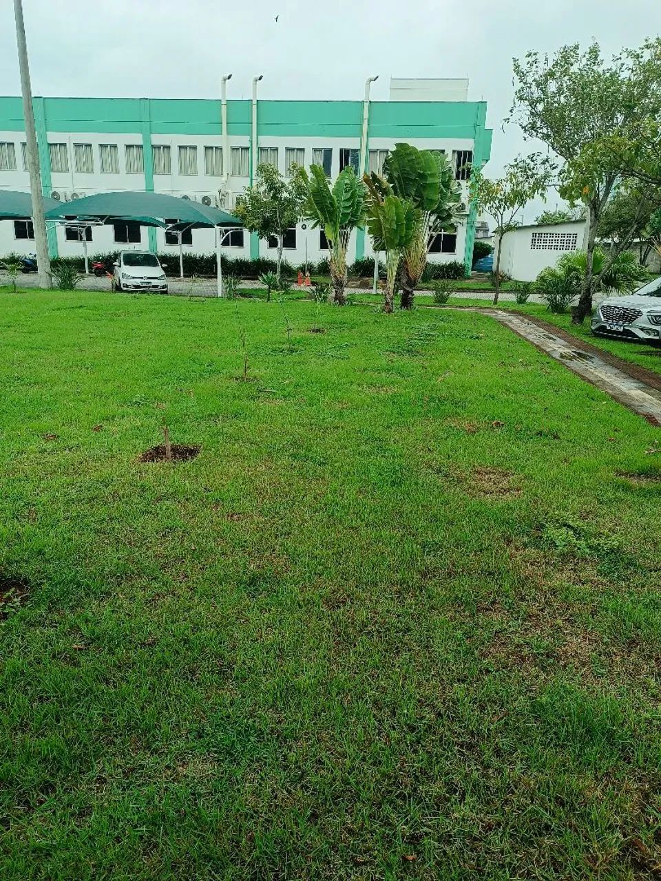 Faço serviço de jardinagem  - Foto 3
