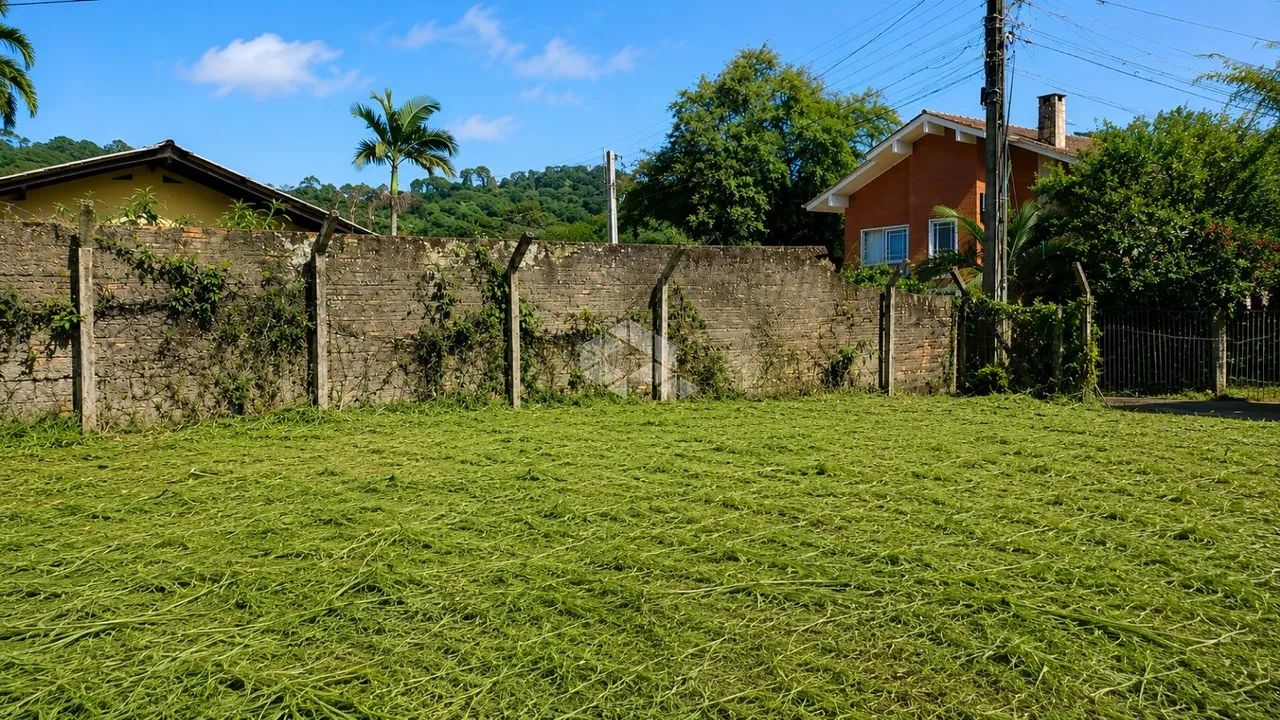 Terreno com 716 m² - Velha - Blumenau/SC - Foto 3