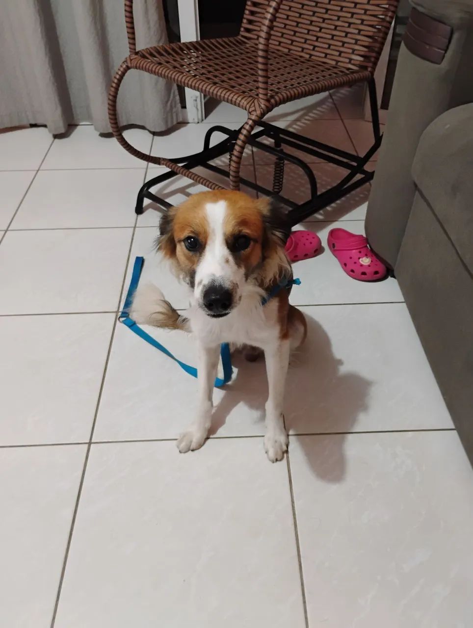 DOAÇÃO  - Foto 3