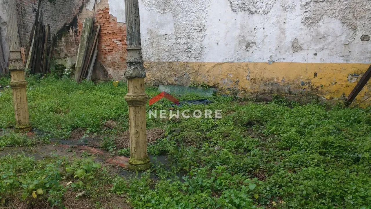 Galpão em Rua do Comércio - Centro - Santos/SP - Foto 5