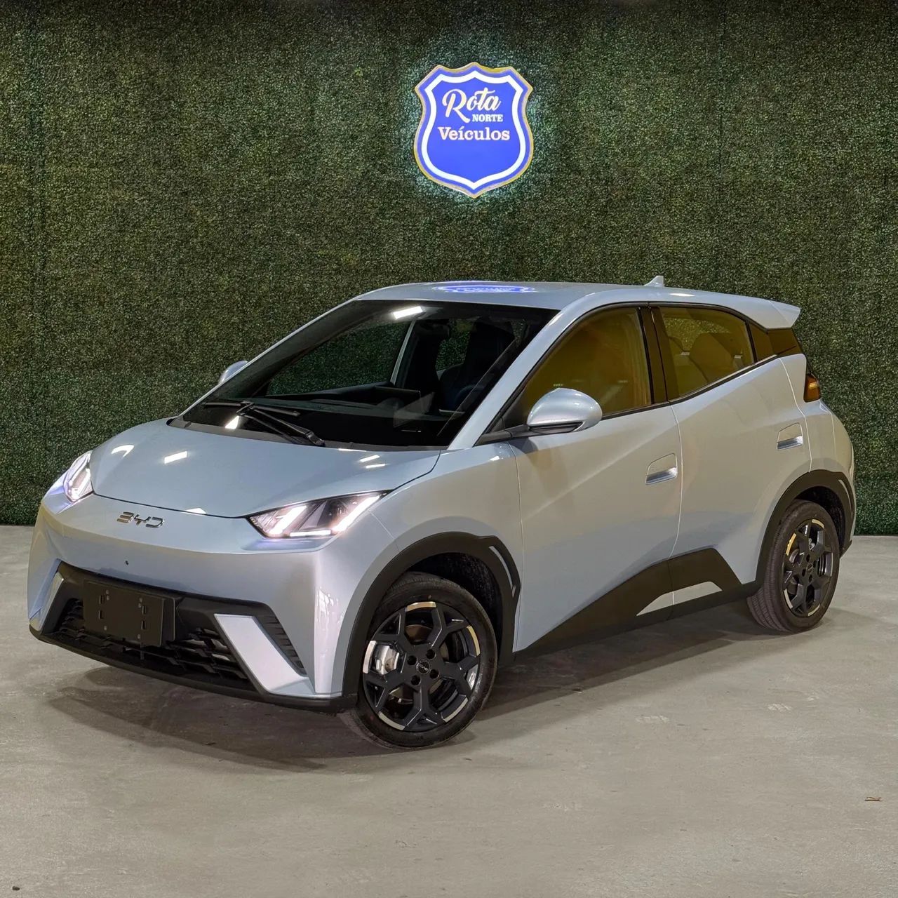 BYD Dolphin Mini (Elétrico) 2027 - Foto 4