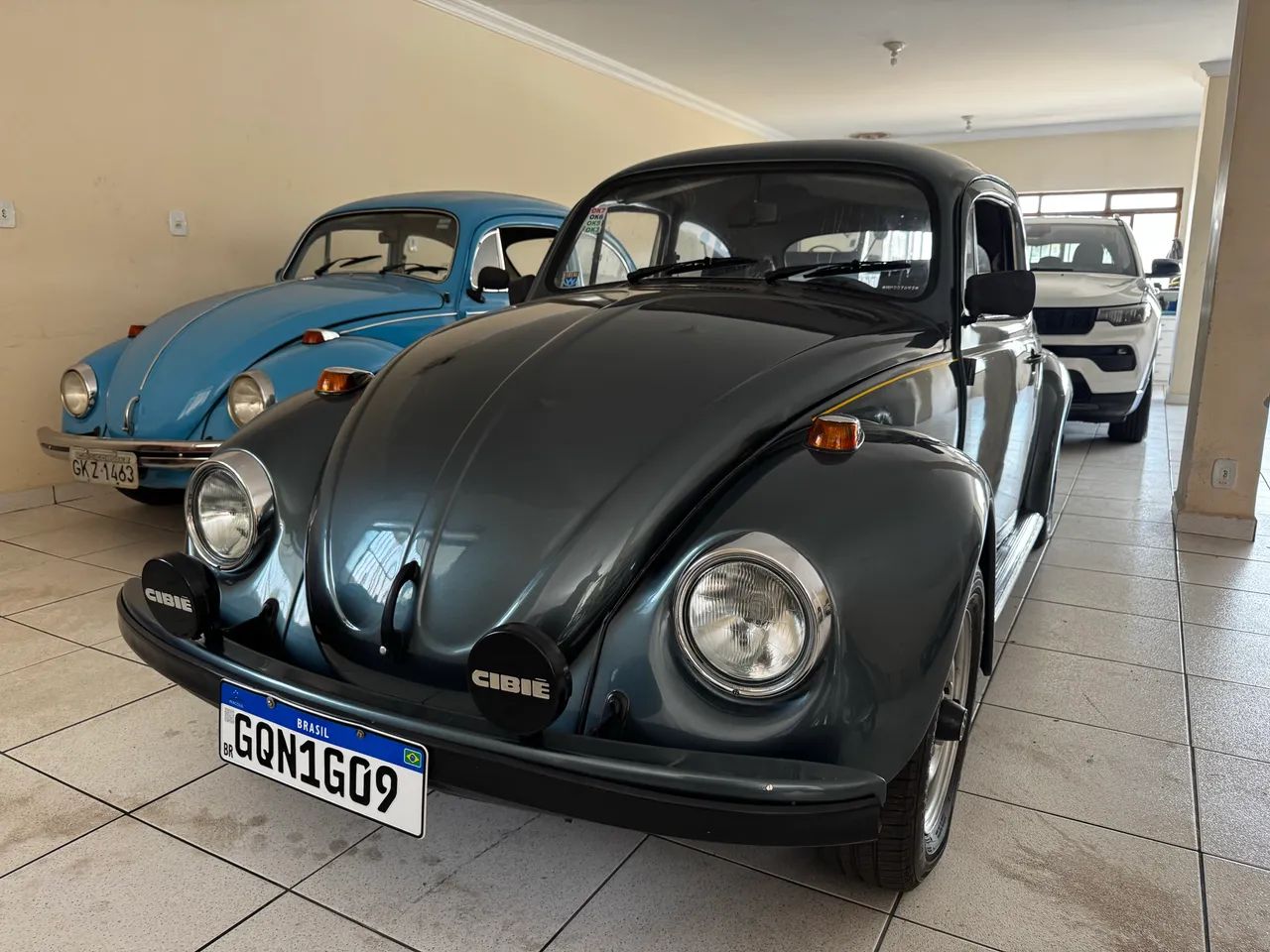Volkswagen Fusca Fusca (gasolina) 1994 1994
