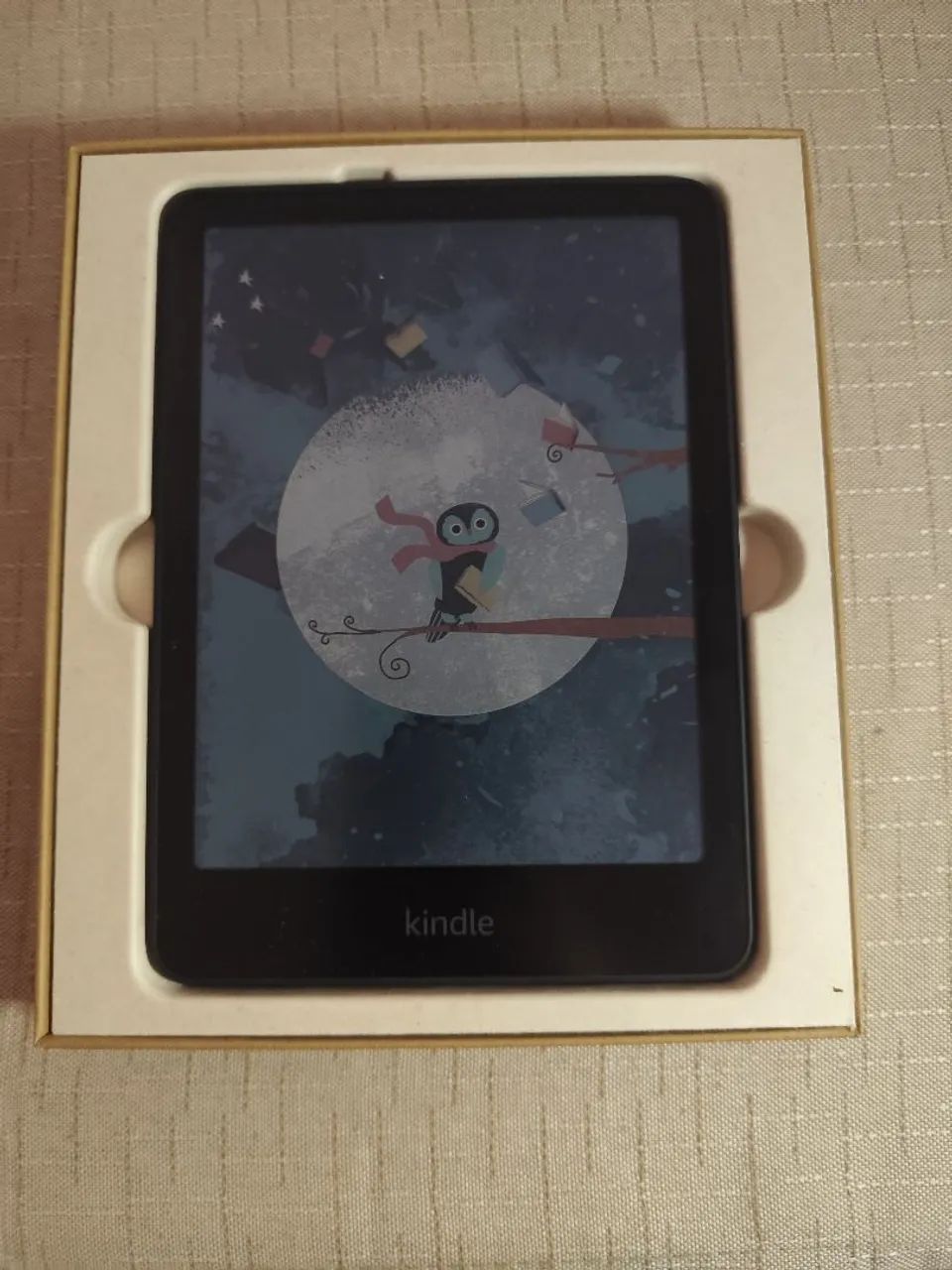 Kindle Colorsoft 16 GB Na Caixa (+Acessórios) - Foto 4