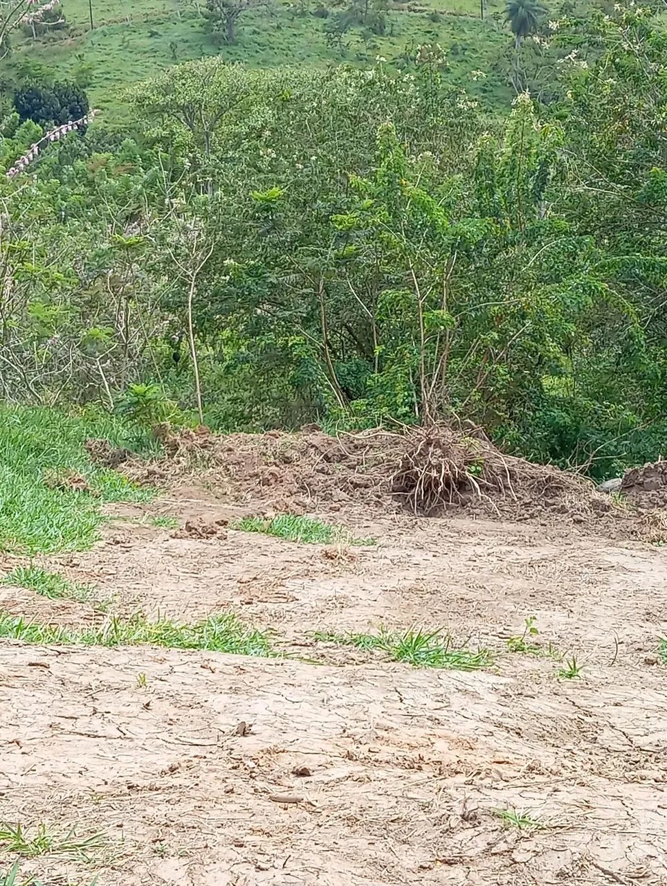 Venda de terreno  - Foto 3