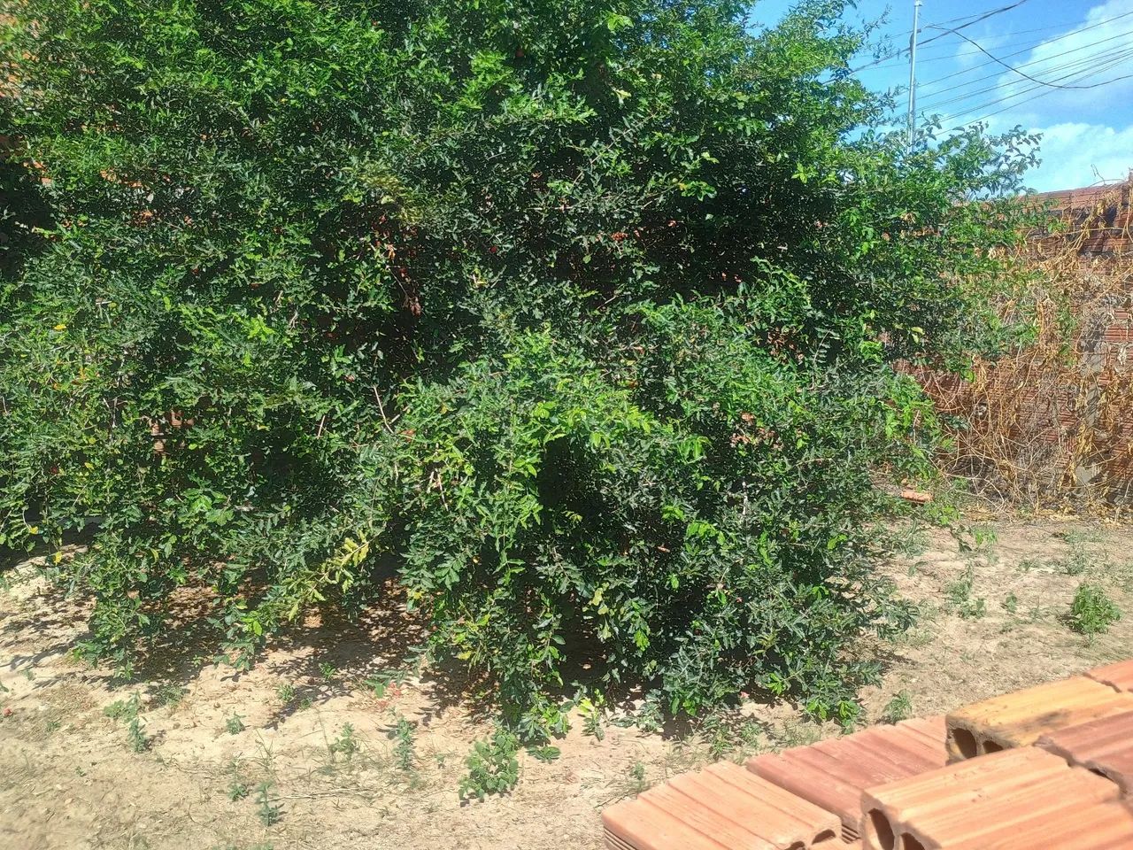 Terreno no cidade verde - Foto 3