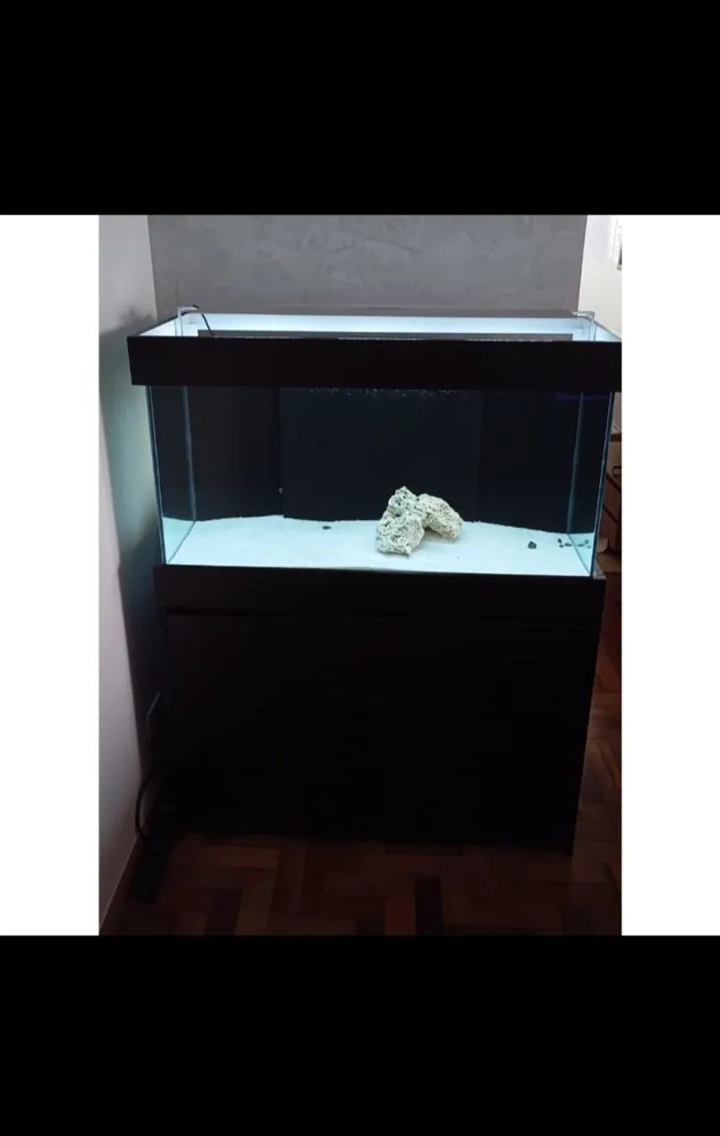 Aquário marinho 200 litros 1x40x50 sump e móvel compensado naval 