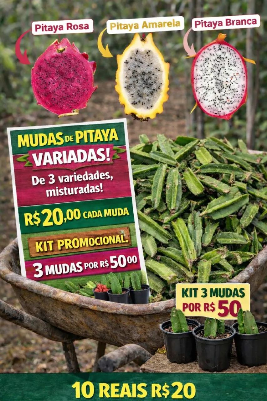 Pitaya variada 