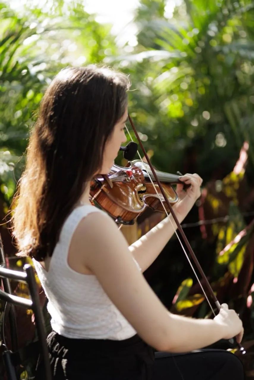 Aulas de violino 