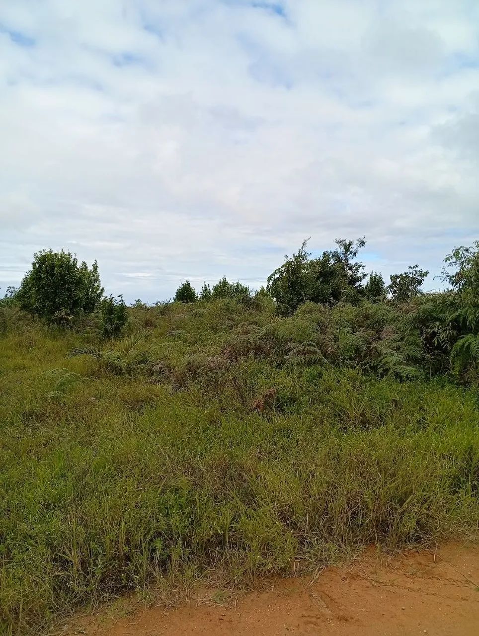 Chácara próximo a praia de Mogiquiçaba Belmonte  - Foto 2