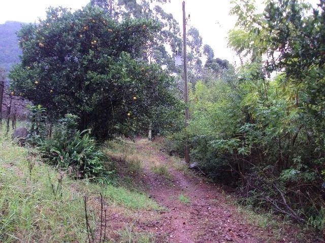 Chácara Galópolis Caxias do Sul - Foto 5