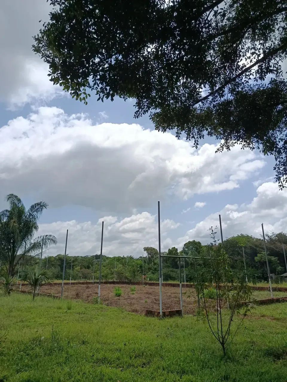 Fazenda em Magalhães Barata - Foto 2