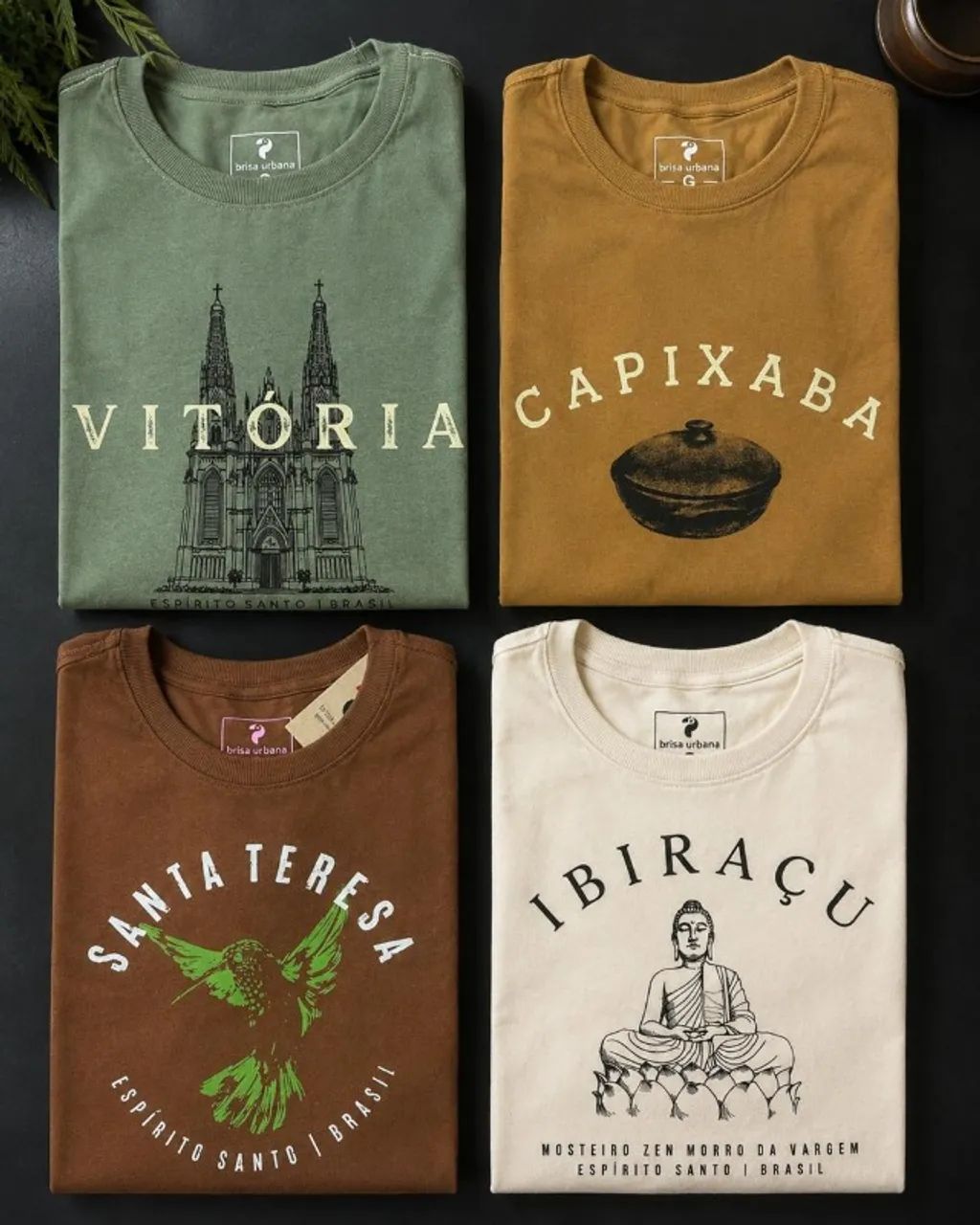 camisetas regionais do estado do ES - Foto 4