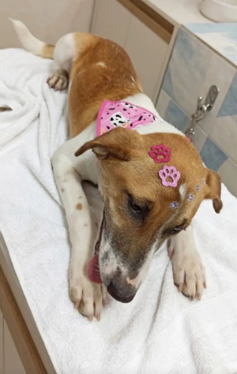 Maya procura uma família  - Foto 4