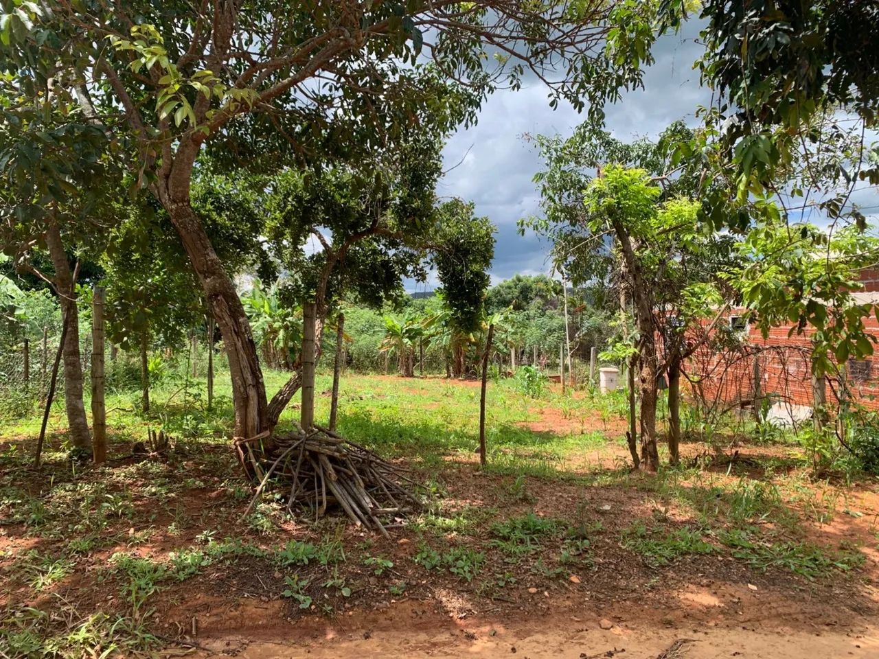 Foto - Brasília - Samambaia Sul (Samambaia)